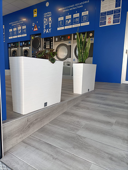 Galería de imágenes