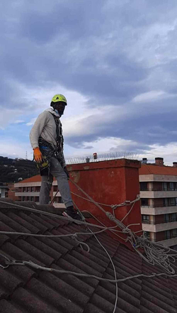 Galería de imágenes