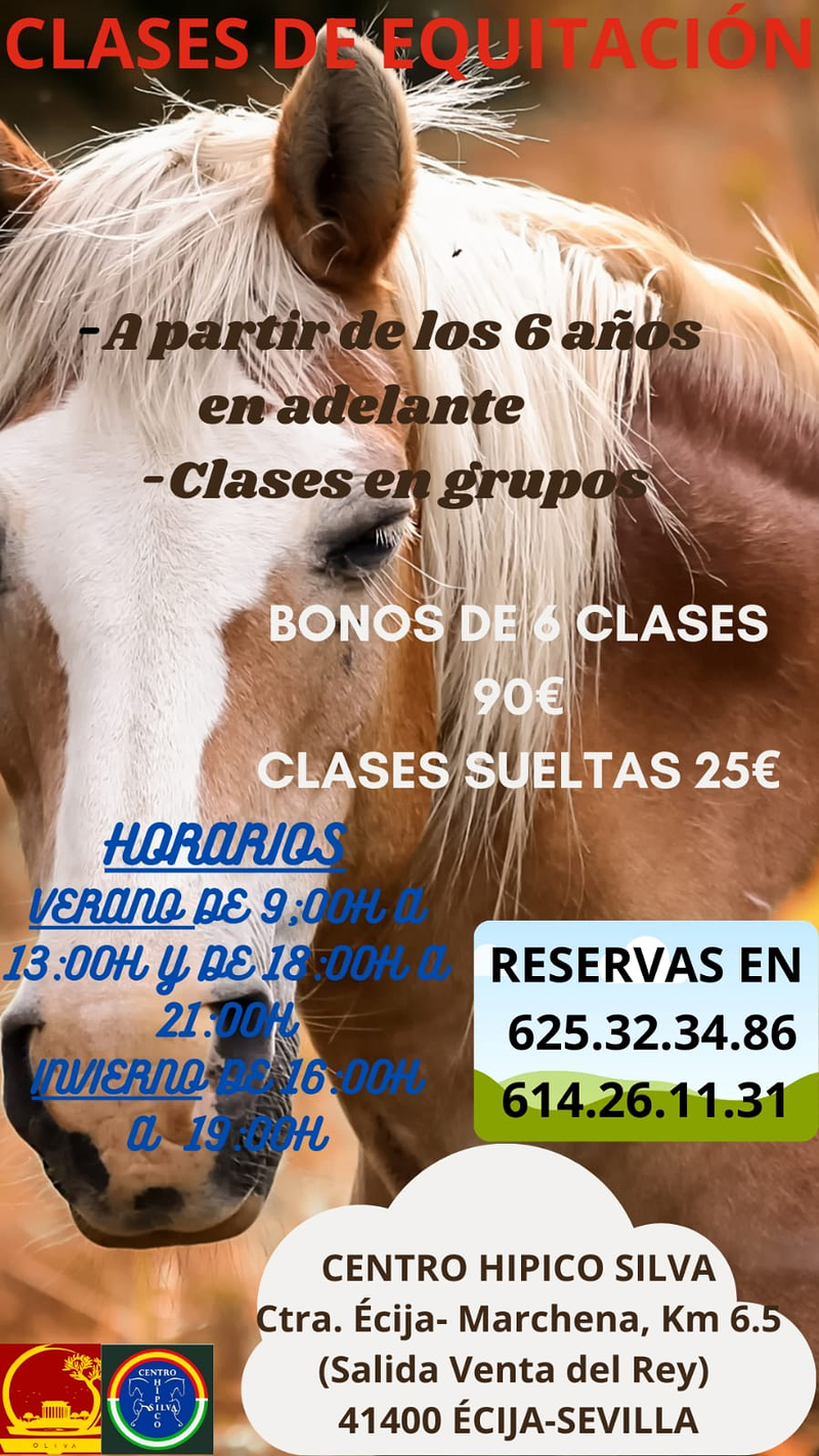 Legado Romano Tours Astigia 7