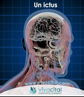 Vivacital Energie SL 3