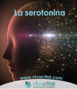 Vivacital Energie SL Barcelona