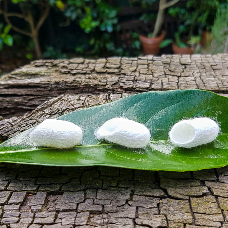 Nurake Biocosmetic 3