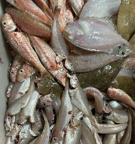 Sol Y Mar MARISQUERIA RESTAURANTE