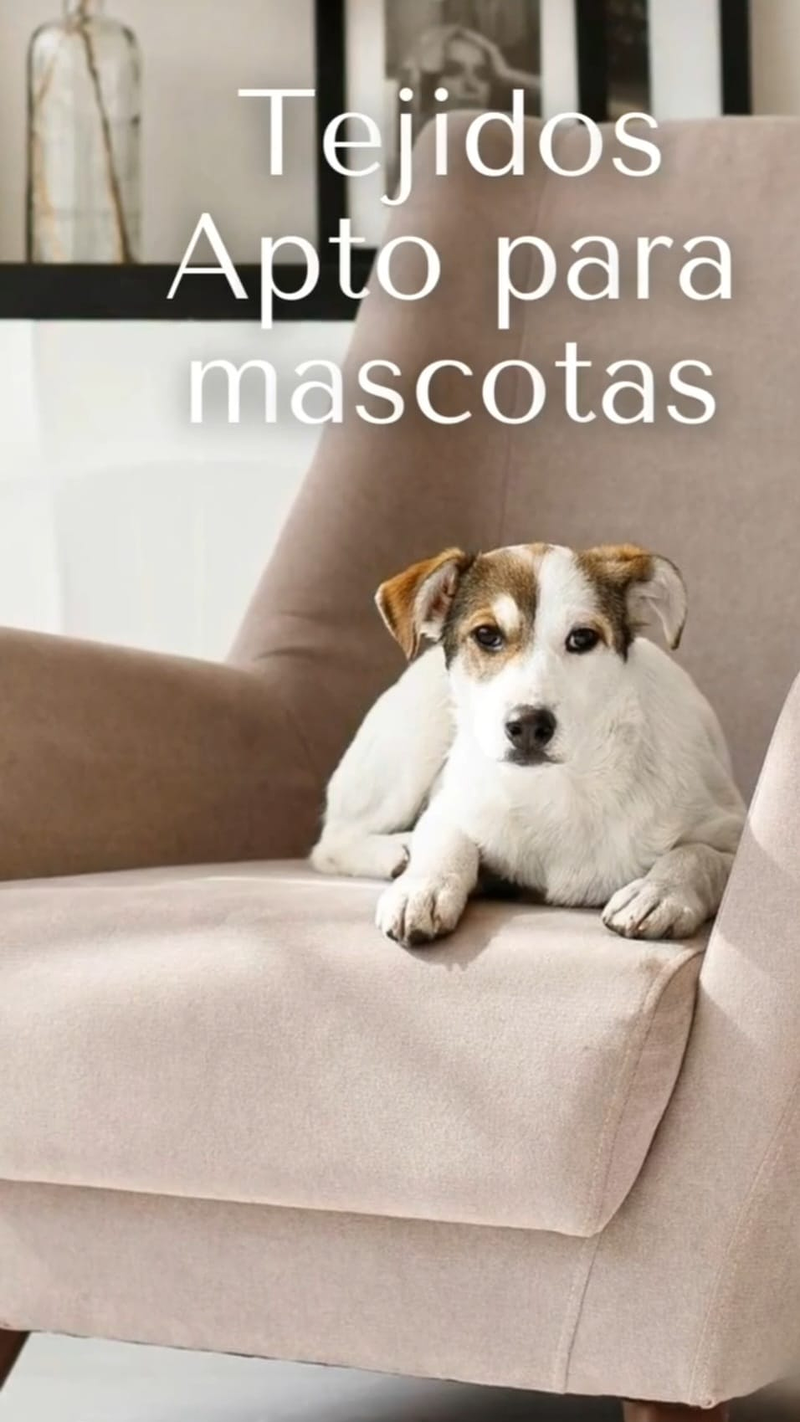 Tapizados Mg TAPICERIAS