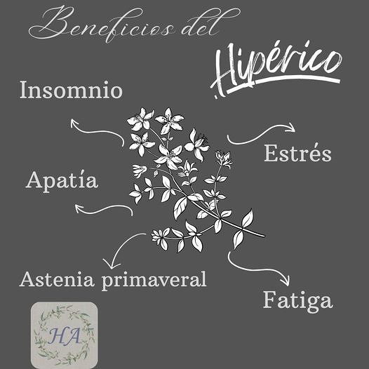 Herbolario Amalur San Lorenzo de El Escorial