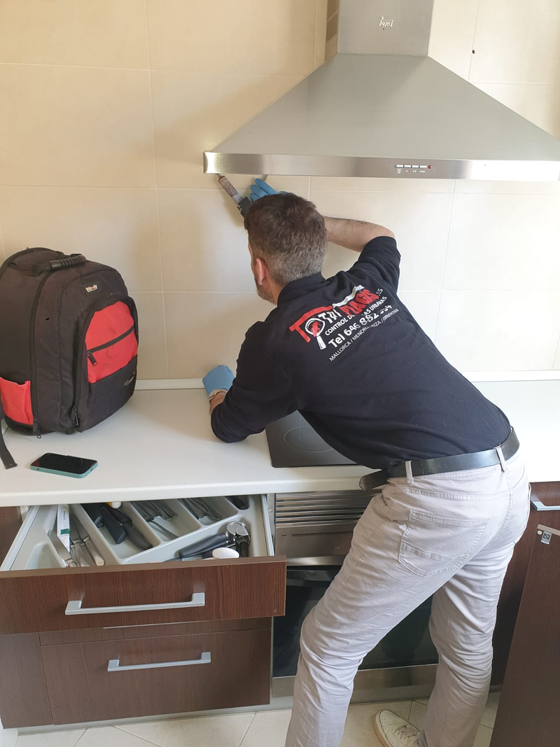 TotalPlagas Baleares Palma