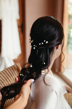 Galería de imágenes