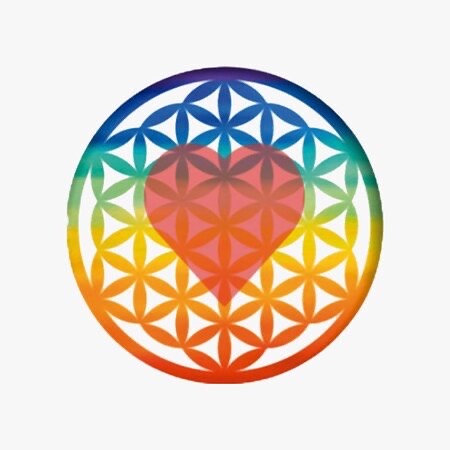 Sofía Gastrobar Ibiza