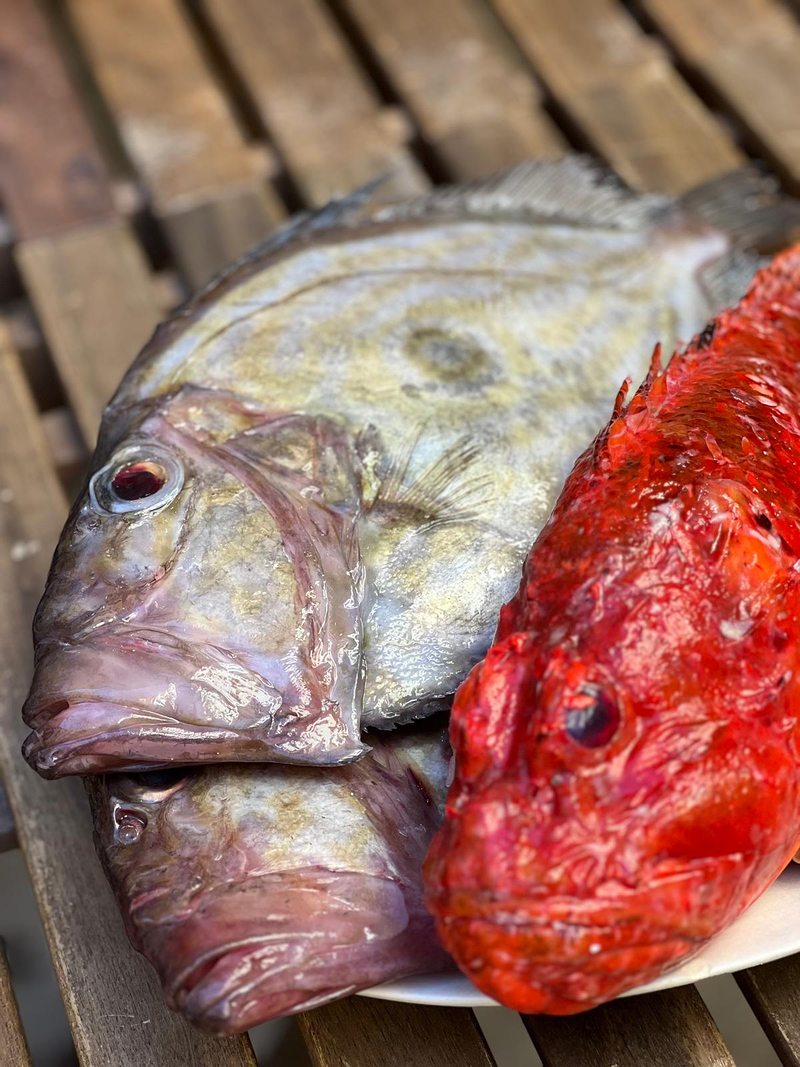 Voci Gastrovinoteca RESTAURANTES