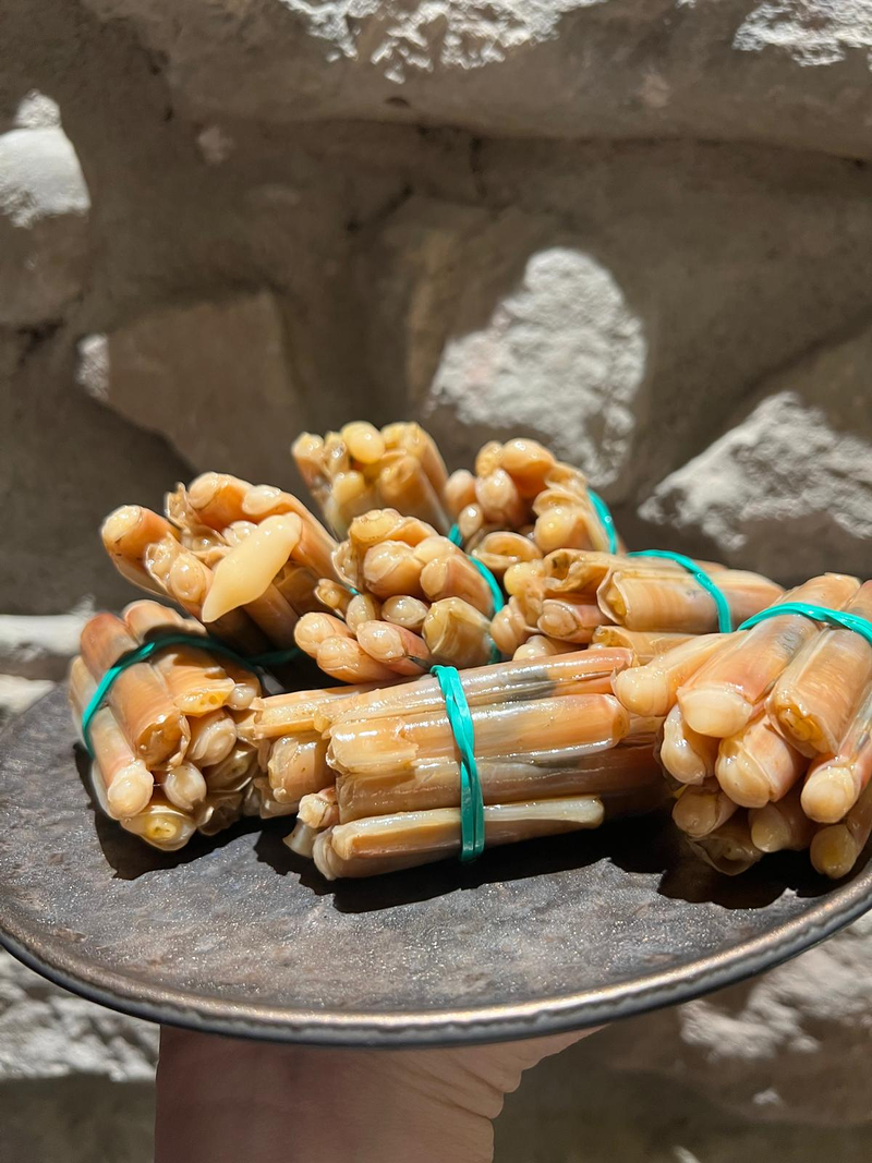 Voci Gastrovinoteca 7