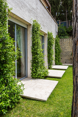 Galería de imágenes