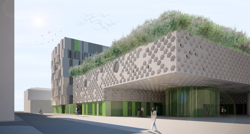 New Hills Pitiusas 4