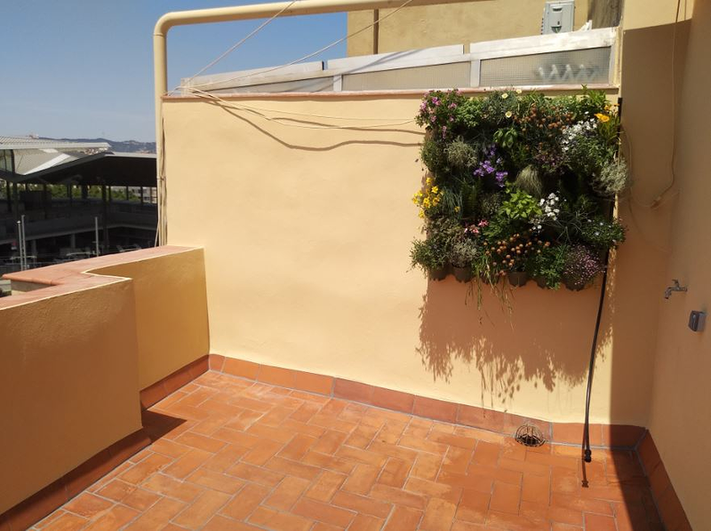 Barcelona Renovation With Shah 14