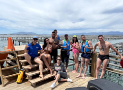 Galería de imágenes