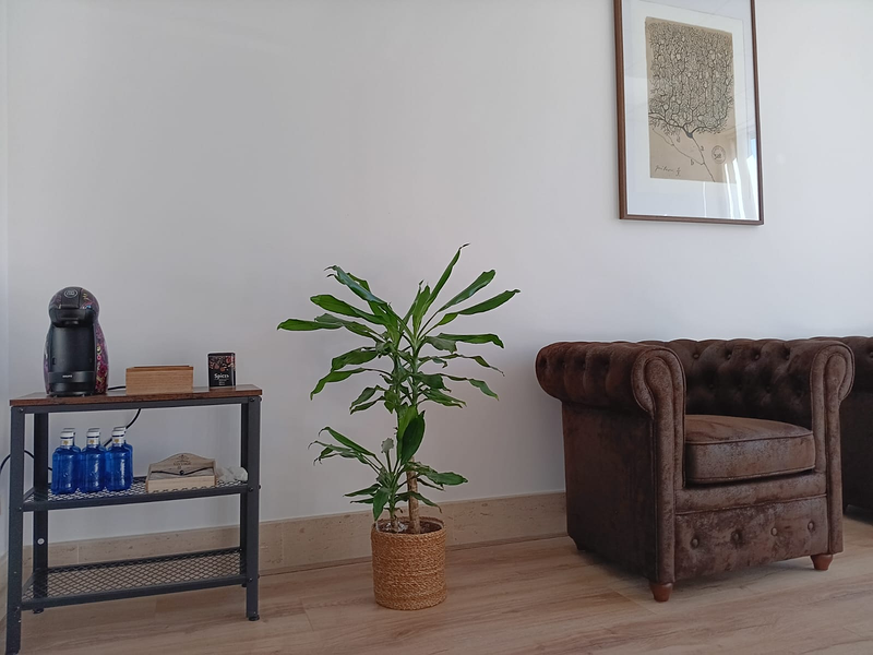 Neurosomnia. Centro Medico De Sueño Y Neurociencia 4