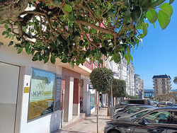 Galería de imágenes