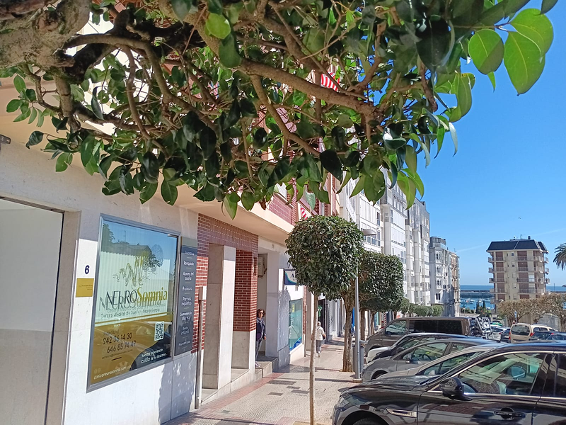 Neurosomnia. Centro Medico De Sueño Y Neurociencia 3