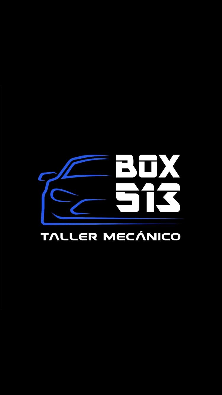 Box 513 TALLERES MECANICOS PARA VEHICULOS