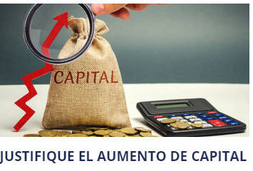 Sol&agrave; Advocats 6