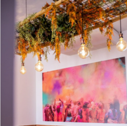 Galería de imágenes