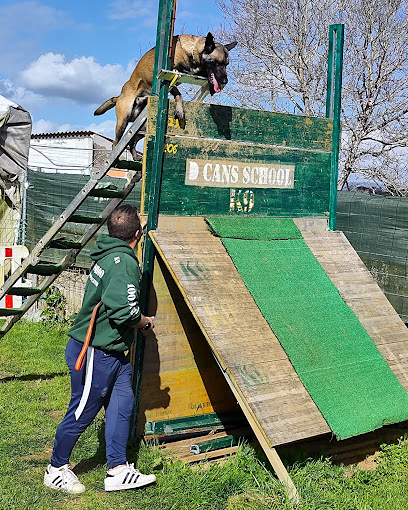 D CANS SCHOOL_k9 Somos tu escuela Canina 6