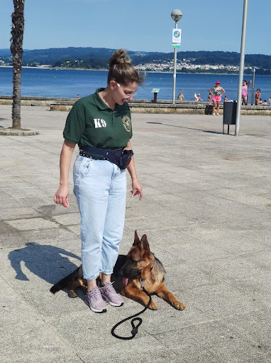 D CANS SCHOOL_k9 Somos tu escuela Canina 14