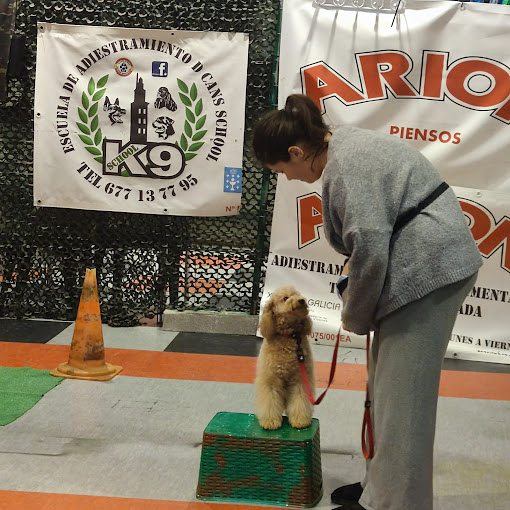 D CANS SCHOOL_k9 Somos tu escuela Canina 9