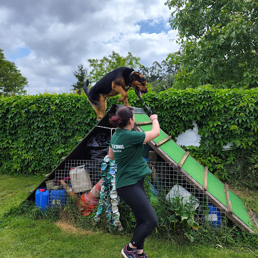 D CANS SCHOOL_k9 Somos tu escuela Canina 3