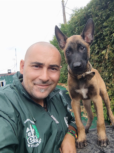 D CANS SCHOOL_k9 Somos tu escuela Canina 13