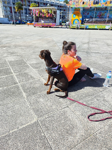 D CANS SCHOOL_k9 Somos tu escuela Canina Sada