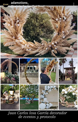 Galería de imágenes