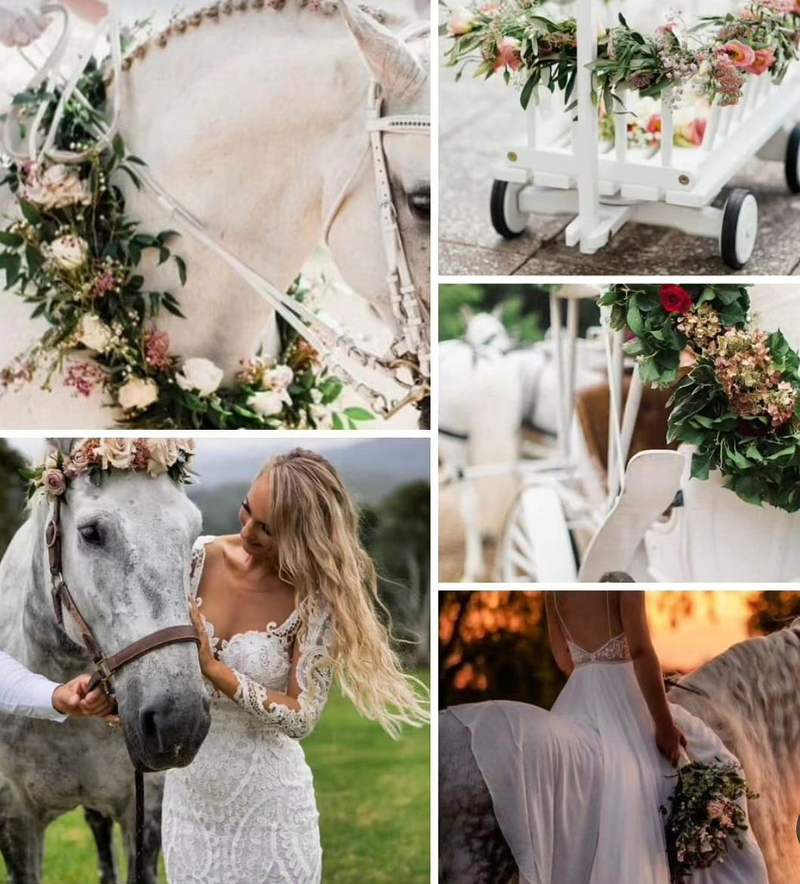 Adamotions Mallorca 21