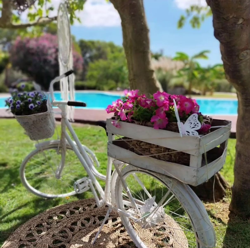 Adamotions Mallorca 22