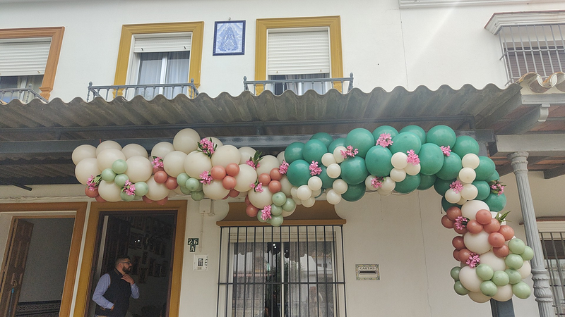 Adamotions Mallorca 4