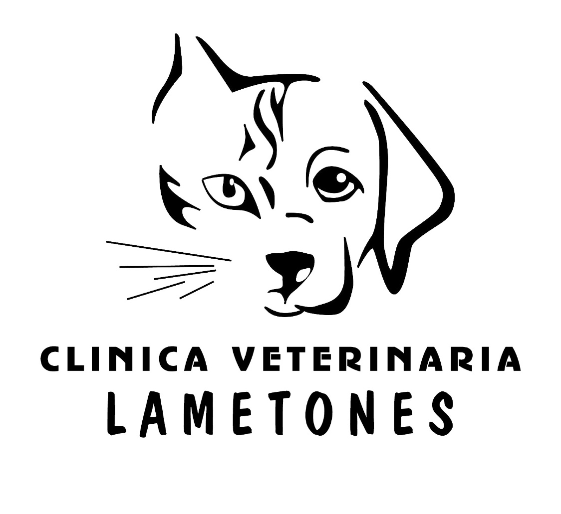 Clínica Veterinaria Lametones