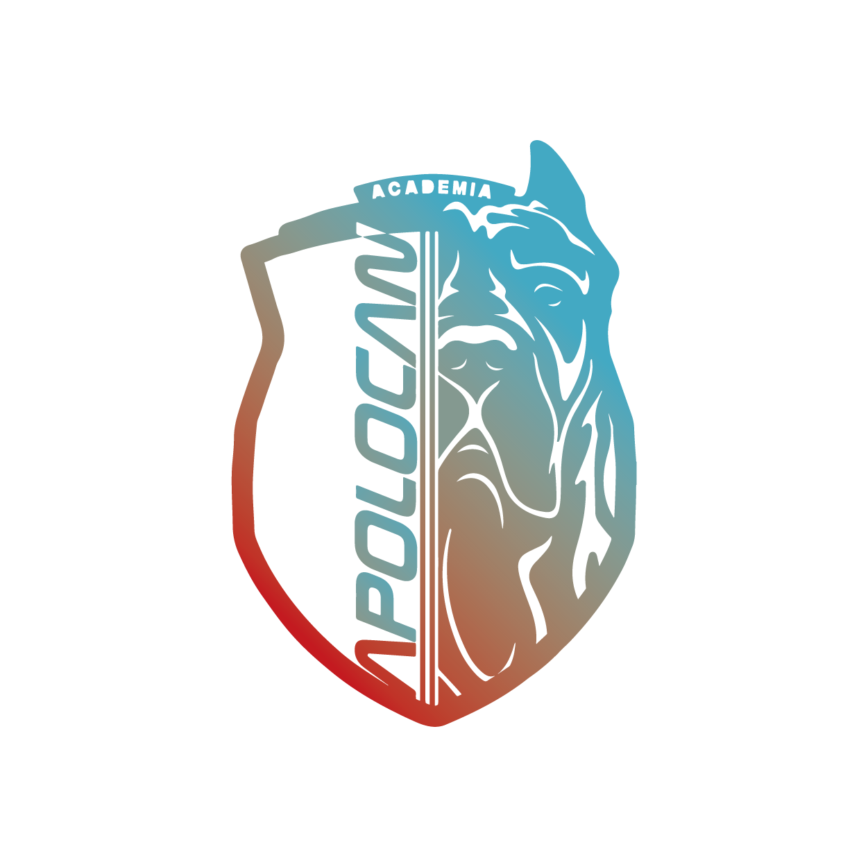 Academia APOLOCAN