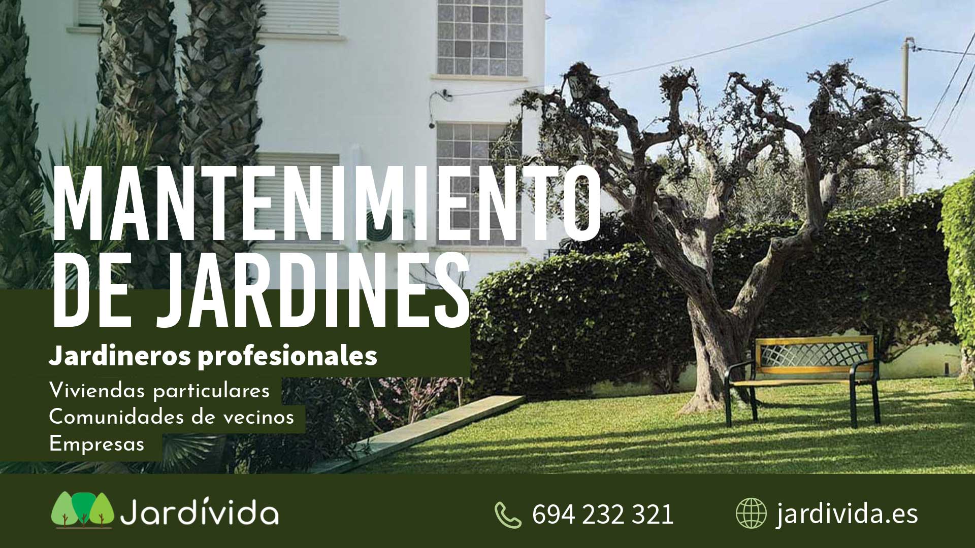Jardivida 8
