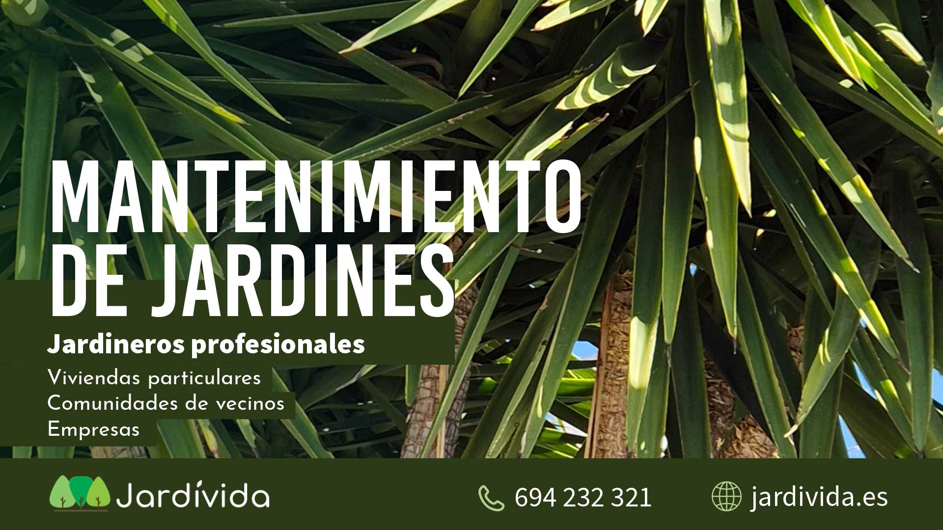 Jardivida 6