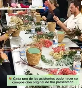 Flor De Lava FLORES Y PLANTAS NATURALES: MAYORISTAS