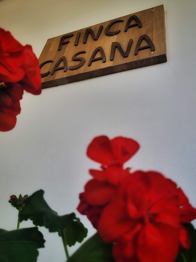 Finca Casana 6