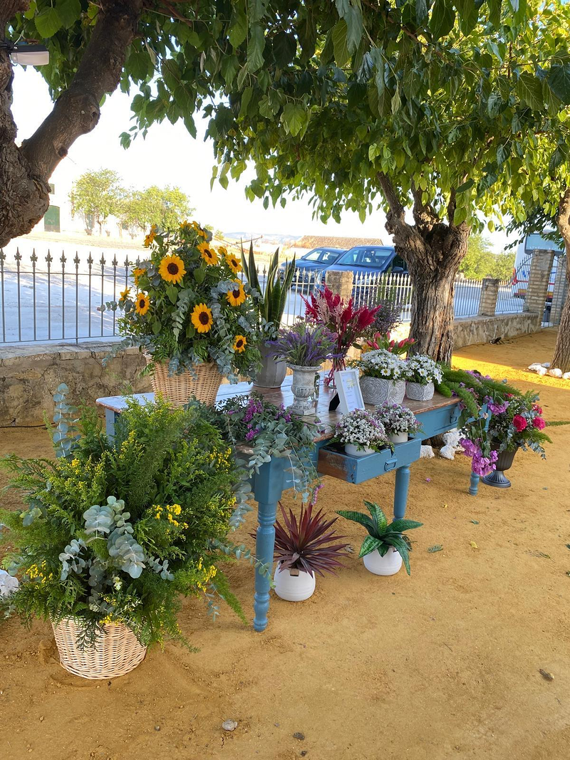 Florister&iacute;a Santa Mar&iacute;a 3