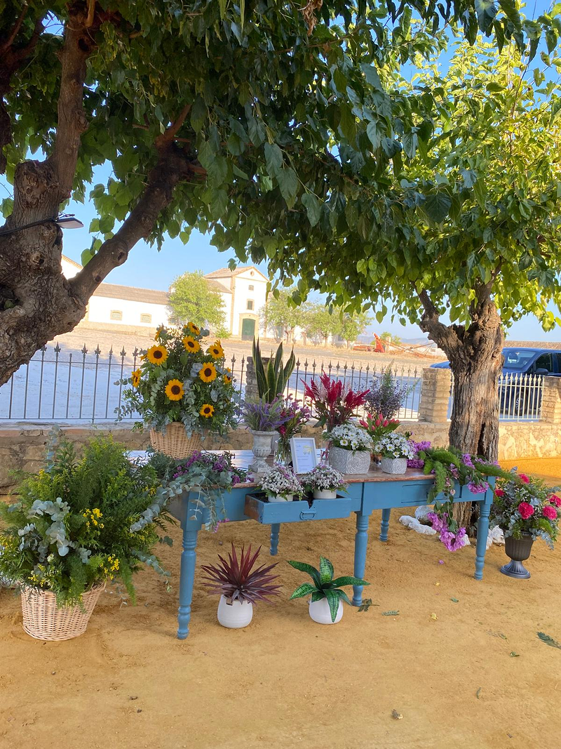 Florister&iacute;a Santa Mar&iacute;a 12