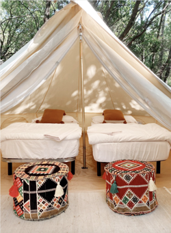 Galería de imágenes