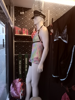 Galería de imágenes