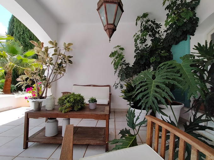 Finca Las Piedras 3