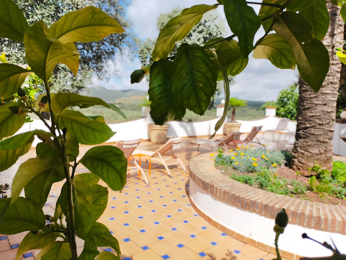 Finca Las Piedras 14