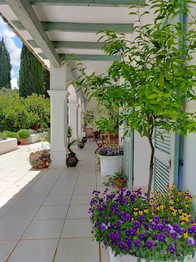 Finca Las Piedras 19