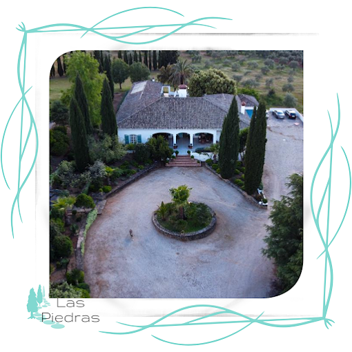 Finca Las Piedras 8