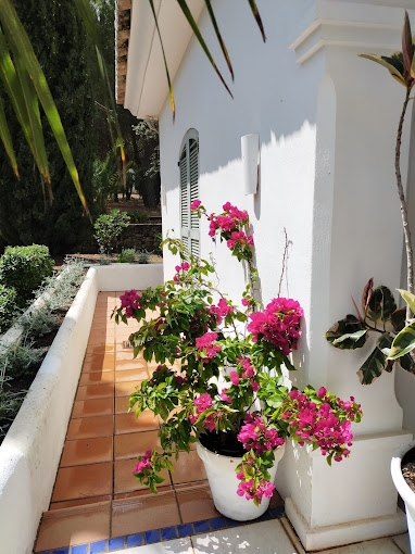 Finca Las Piedras 21
