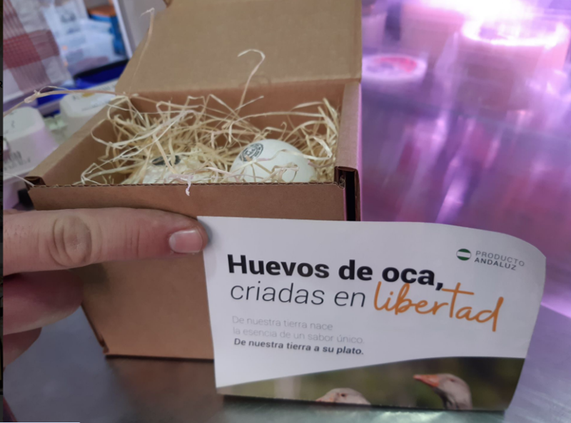 Tienda La Esquina 10